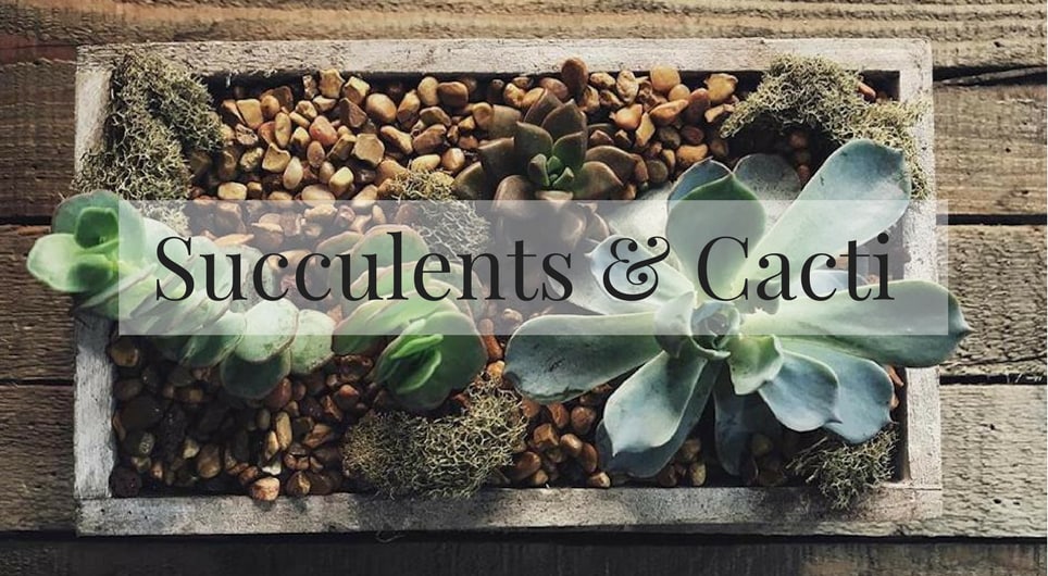 Naja Broberg Flowers Delivery Loveland Co The 12 Best Places To Order Flowers Online For